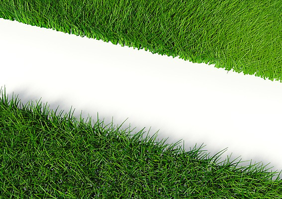 PSD 식물 편집이미지 길 선 캠페인 컬러 잔디 사람없음 컴퓨터그래픽 그래픽 초록색 3D소스 3D 자연보호 환경 그린캠페인 풀 입체 편집소스 편집3D 자연 보호 디지털합성 파일형식