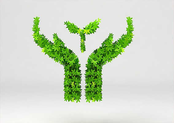 PSD 식물 편집이미지 손 캠페인 컬러 단풍 잎 사람없음 컴퓨터그래픽 그래픽 초록색 3D소스 3D 새싹 모형 자연보호 환경 그린캠페인 양손 풀 입체 편집소스 편집3D 자연 신체부위 보호 디지털합성 파일형식