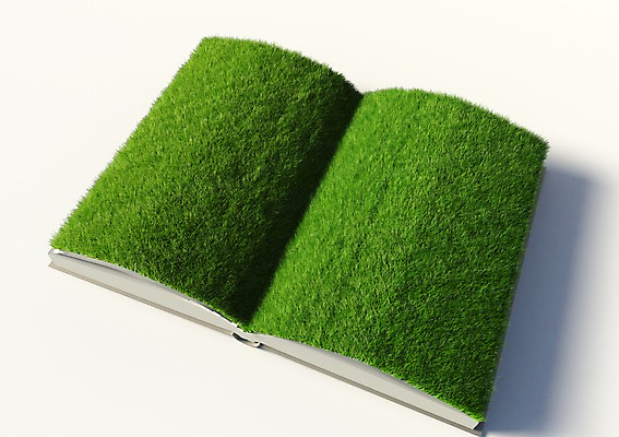 PSD 식물 편집이미지 캠페인 컬러 잔디 사람없음 컴퓨터그래픽 그래픽 책 초록색 3D소스 3D 자연보호 환경 그린캠페인 펼침 풀 입체 편집소스 편집3D 모션 자연 보호 디지털합성 파일형식