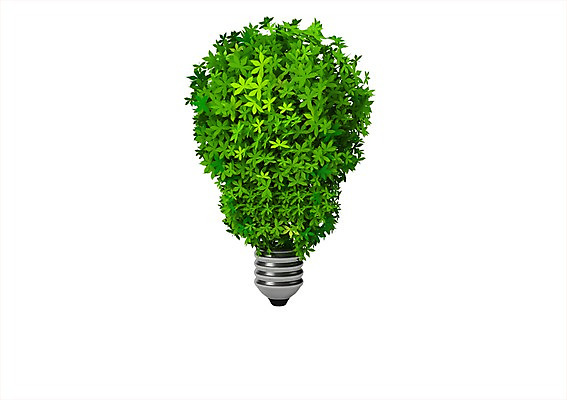 PSD 식물 편집이미지 캠페인 컬러 단풍 전구 전등 사람없음 컴퓨터그래픽 그래픽 초록색 3D소스 3D 자연보호 환경 그린캠페인 풀 입체 오브젝트 백열등 편집소스 편집3D 잎 자연 조명 보호 디지털합성 파일형식