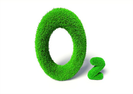 PSD 식물 편집이미지 기호 알파벳 캠페인 컬러 대문자 잔디 사람없음 컴퓨터그래픽 그래픽 초록색 3D소스 3D 자연보호 환경 그린캠페인 풀 원소 입체 산소 원소기호 화학기호 편집소스 편집3D 문자 영어 자연 화학 보호 디지털합성 파일형식