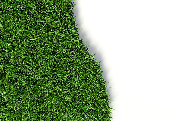 PSD 식물 편집이미지 길 캠페인 컬러 잔디 사람없음 컴퓨터그래픽 그래픽 초록색 3D소스 3D 자연보호 환경 그린캠페인 풀 입체 편집소스 편집3D 자연 보호 디지털합성 파일형식