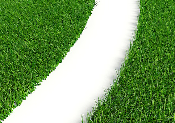 PSD 식물 편집이미지 길 캠페인 컬러 잔디 사람없음 컴퓨터그래픽 그래픽 초록색 3D소스 3D 자연보호 환경 그린캠페인 풀 입체 편집소스 편집3D 자연 보호 디지털합성 파일형식