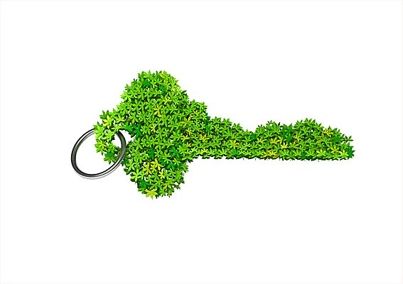 PSD 식물 편집이미지 캠페인 컬러 단풍 열쇠 사람없음 컴퓨터그래픽 그래픽 초록색 3D소스 3D 자연보호 환경 그린캠페인 풀 입체 열쇠꾸러미 편집소스 편집3D 잎 자연 보호 디지털합성 파일형식
