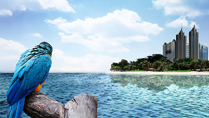 주간 PSD 나무 식물 구름 편집이미지 한마리 건축 바다 조류 하늘 빌딩 사람없음 야외 건물 3D 고층빌딩 나뭇가지 도시 앵무새 편집3D 자연요소 동물 1 건축물 디지털합성 파일형식