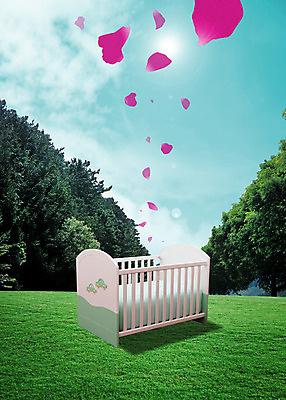 주간 PSD 나무 식물 구름 편집이미지 꽃잎 자연 하늘 풍경 잔디 사람없음 야외 3D 아기침대 요람 편집3D 자연요소 꽃 아기용품 침대 디지털합성 생태계 파일형식