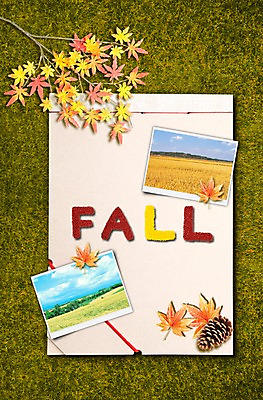 PSD 편집 편집이미지 문자 영어 계절 단풍 단풍나무 잔디 초원 사람없음 단어 다이어리 가을 나뭇가지 오브젝트 솔방울 기념사진 이미지편집 나무 식물 잎 사무용품 파일형식