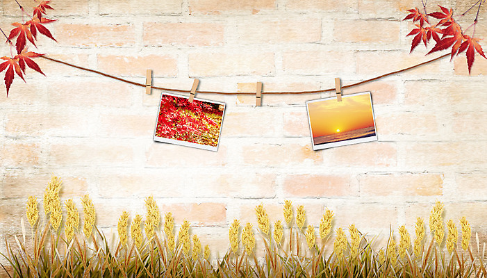 PSD 편집 편집이미지 계절 줄 벽 단풍 벽돌 벽면 매달리기 집게 사람없음 일출 노을 가을 풀 오브젝트 억새 기념사진 이미지편집 자연요소 식물 잎 모션 파일형식