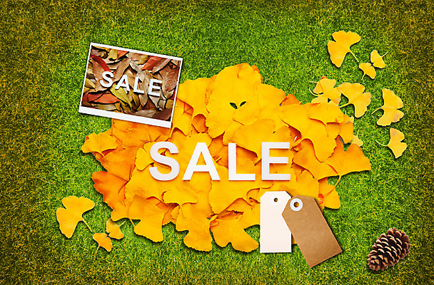 PSD 편집 편집이미지 계절 단풍 낙엽 이벤트 잔디 사람없음 책 꼬리표 세일 가을 오브젝트 은행잎 솔방울 기념사진 이미지편집 식물 잎 라벨 파일형식