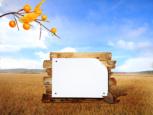 PSD 구름 편집 편집이미지 계절 열매 낙엽 과일 하늘 프레임 논 알림판 감 사람없음 가을풍경 맑음 수확 벼 가을 나뭇가지 오픈 오브젝트 들녁 이미지편집 자연요소 나무 식물 잎 농업 날씨 곡류 풍경 파일형식 가을_계절