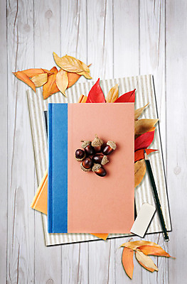 PSD 편집 편집이미지 계절 열매 단풍 낙엽 사람없음 목재 필기구 연필 다이어리 줄무늬 가을 직물 천 오브젝트 지우개 나무바닥 도토리 이미지편집 나무 식물 잎 무늬 재료 문구용품 학용품 바닥 사무용품 견과류 파일형식