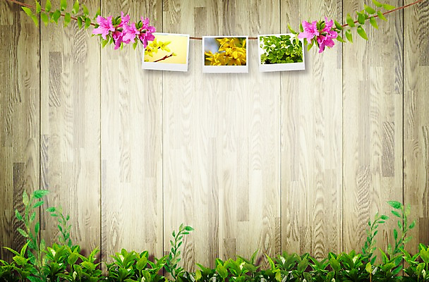 PSD 식물 편집이미지 배너 계절 꽃 줄 벽 백그라운드 안내 프레임 알림판 풍경 사람없음 봄 메모지 풀 알림 프레임템플릿 기념사진 이미지편집 템플릿 사무용품 파일형식