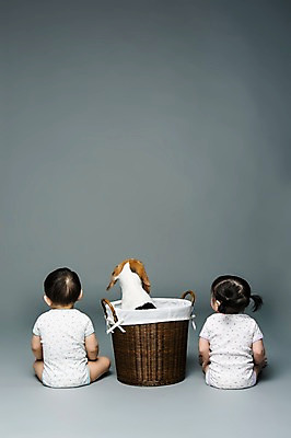 포토 JPG 스튜디오촬영 전신 동물 한마리 여자 남자 어린이라이프 반려견 놀이 회색배경 실내 사람 앉기 동양인 두명 뒷모습 반려동물 바구니 한국인 아기 개 강아지 비글 소통 반려 아기만 국내포토 1 라이프스타일 어린이 뷰포인트 백그라운드 컨셉 포유류 모션 인종 내부 회색 파일형식