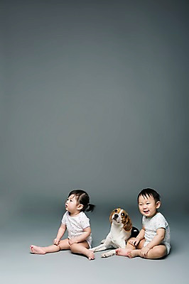 포토 JPG 스튜디오촬영 전신 동물 한마리 여자 남자 어린이라이프 반려견 회색배경 실내 미소 웃음 사람 앉기 동양인 두명 옆모습 반려동물 한국인 아기 개 강아지 비글 소통 반려 아기만 국내포토 1 라이프스타일 어린이 뷰포인트 백그라운드 컨셉 포유류 모션 표정 인종 내부 회색 파일형식