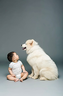 포토 JPG 스튜디오촬영 전신 동물 한마리 응시 남자 어린이라이프 반려견 회색배경 실내 한명 사람 앉기 동양인 반려동물 한국인 아기 개 강아지 사모예드 소통 반려 남자만 남자한명만 아기만 남자아기만 남자아기한명만 국내포토 1 라이프스타일 시선 어린이 백그라운드 컨셉 포유류 모션 인종 내부 회색 파일형식