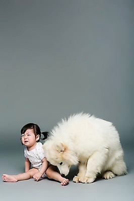 포토 JPG 스튜디오촬영 전신 동물 한마리 여자 어린이라이프 반려견 회색배경 실내 한명 사람 앉기 동양인 반려동물 한국인 아기 개 강아지 울음 무서움 사모예드 소통 반려 여자만 여자한명만 아기만 여자아기만 여자아기한명만 국내포토 1 라이프스타일 감정 어린이 백그라운드 컨셉 포유류 모션 표정 인종 내부 회색 파일형식