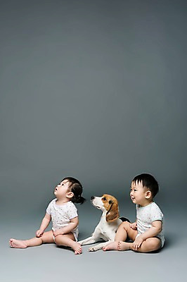 포토 JPG 스튜디오촬영 전신 동물 한마리 응시 여자 남자 어린이라이프 반려견 회색배경 실내 미소 웃음 사람 앉기 동양인 두명 옆모습 반려동물 한국인 아기 개 강아지 비글 소통 반려 아기만 국내포토 1 라이프스타일 시선 어린이 뷰포인트 백그라운드 컨셉 포유류 모션 표정 인종 내부 회색 파일형식