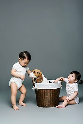 포토 JPG 스튜디오촬영 전신 동물 한마리 여자 남자 어린이라이프 반려견 놀이 회색배경 실내 서기 사람 앉기 동양인 두명 옆모습 반려동물 바구니 한국인 아기 개 강아지 비글 소통 반려 아기만 국내포토 1 라이프스타일 어린이 뷰포인트 백그라운드 컨셉 포유류 모션 인종 내부 회색 파일형식