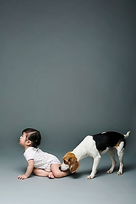 포토 JPG 스튜디오촬영 전신 동물 한마리 여자 어린이라이프 반려견 회색배경 실내 한명 사람 앉기 동양인 옆모습 반려동물 한국인 아기 개 강아지 울음 무서움 냄새 비글 소통 반려 여자만 여자한명만 아기만 여자아기만 여자아기한명만 국내포토 1 라이프스타일 감정 어린이 뷰포인트 백그라운드 컨셉 포유류 모션 표정 인종 내부 회색 파일형식