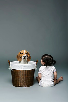 포토 JPG 스튜디오촬영 전신 동물 한마리 여자 어린이라이프 반려견 놀이 회색배경 실내 한명 사람 앉기 동양인 뒷모습 반려동물 바구니 한국인 아기 개 강아지 비글 소통 반려 여자만 여자한명만 아기만 여자아기만 여자아기한명만 국내포토 1 라이프스타일 어린이 뷰포인트 백그라운드 컨셉 포유류 모션 인종 내부 회색 파일형식
