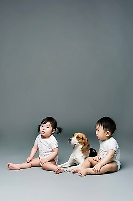 포토 JPG 스튜디오촬영 전신 동물 한마리 응시 여자 남자 어린이라이프 반려견 회색배경 실내 사람 앉기 동양인 두명 옆모습 반려동물 한국인 아기 개 강아지 비글 소통 반려 아기만 국내포토 1 라이프스타일 시선 어린이 뷰포인트 백그라운드 컨셉 포유류 모션 인종 내부 회색 파일형식