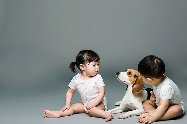 포토 JPG 스튜디오촬영 전신 동물 한마리 여자 남자 어린이라이프 반려견 회색배경 실내 사람 앉기 동양인 두명 옆모습 반려동물 한국인 아기 개 강아지 비글 소통 반려 아기만 국내포토 1 라이프스타일 어린이 뷰포인트 백그라운드 컨셉 포유류 모션 인종 내부 회색 파일형식