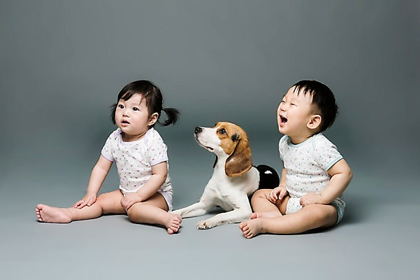 포토 JPG 스튜디오촬영 전신 동물 한마리 응시 여자 남자 어린이라이프 반려견 회색배경 실내 미소 웃음 사람 앉기 동양인 두명 옆모습 반려동물 한국인 아기 개 강아지 비글 소통 반려 아기만 국내포토 1 라이프스타일 시선 어린이 뷰포인트 백그라운드 컨셉 포유류 모션 표정 인종 내부 회색 파일형식