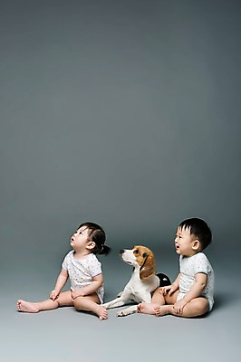 포토 JPG 스튜디오촬영 전신 동물 한마리 응시 여자 남자 어린이라이프 반려견 회색배경 실내 미소 웃음 사람 앉기 동양인 두명 옆모습 반려동물 한국인 올려보기 아기 개 강아지 비글 소통 반려 아기만 국내포토 1 라이프스타일 시선 어린이 뷰포인트 백그라운드 컨셉 포유류 모션 표정 인종 내부 회색 파일형식