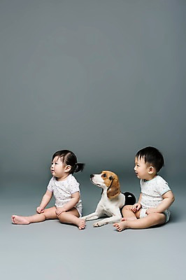 포토 JPG 스튜디오촬영 전신 동물 한마리 응시 여자 남자 어린이라이프 반려견 회색배경 실내 사람 앉기 동양인 두명 옆모습 반려동물 한국인 아기 개 강아지 비글 소통 반려 아기만 국내포토 1 라이프스타일 시선 어린이 뷰포인트 백그라운드 컨셉 포유류 모션 인종 내부 회색 파일형식