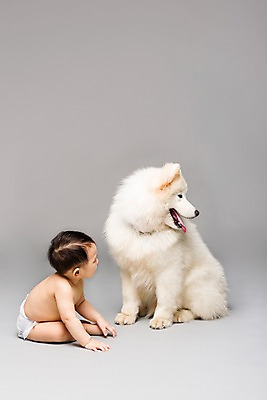 포토 JPG 스튜디오촬영 전신 동물 한마리 남자 어린이라이프 반려견 회색배경 실내 한명 사람 앉기 동양인 옆모습 반려동물 한국인 아기 개 강아지 기저귀 사모예드 소통 반려 남자만 남자한명만 아기만 남자아기만 남자아기한명만 국내포토 1 라이프스타일 어린이 뷰포인트 백그라운드 컨셉 포유류 모션 인종 내부 회색 아기용품 파일형식