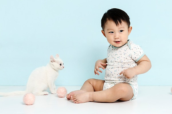 포토 JPG 스튜디오촬영 전신 동물 한마리 응시 남자 어린이라이프 실내 한명 사람 앉기 동양인 반려동물 고양이 한국인 아기 털실 파란배경 러시안블루 소통 반려 남자만 남자한명만 아기만 남자아기만 남자아기한명만 국내포토 1 라이프스타일 시선 어린이 백그라운드 컨셉 포유류 모션 인종 내부 파란색 실 파일형식