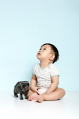 포토 JPG 스튜디오촬영 전신 동물 한마리 응시 남자 어린이라이프 실내 한명 사람 앉기 동양인 반려동물 고양이 한국인 올려보기 아기 파란배경 러시안블루 소통 반려 남자만 남자한명만 아기만 남자아기만 남자아기한명만 국내포토 1 라이프스타일 시선 어린이 백그라운드 컨셉 포유류 모션 인종 내부 파란색 파일형식