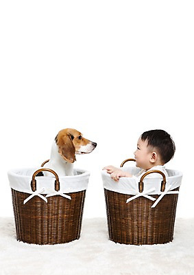 포토 JPG 스튜디오촬영 동물 한마리 남자 어린이라이프 반려견 놀이 실내 한명 미소 웃음 누끼 사람 앉기 동양인 상반신 옆모습 반려동물 바구니 마주보기 카펫 한국인 매트 아기 개 강아지 비글 소통 반려 남자만 남자한명만 아기만 남자아기만 남자아기한명만 국내포토 1 라이프스타일 어린이 뷰포인트 컨셉 포유류 모션 표정 인종 내부 파일형식