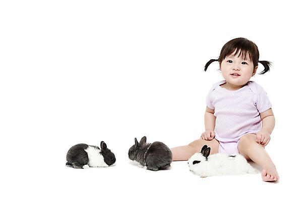 포토 JPG 스튜디오촬영 전신 동물 여자 어린이라이프 실내 세마리 한명 미소 웃음 누끼 사람 앉기 동양인 앞모습 반려동물 한국인 아기 토끼 소통 반려 여자만 여자한명만 아기만 여자아기만 여자아기한명만 국내포토 1 라이프스타일 어린이 뷰포인트 컨셉 포유류 모션 표정 3 인종 내부 파일형식