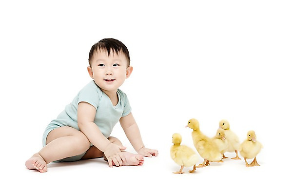 포토 JPG 스튜디오촬영 전신 동물 응시 남자 어린이라이프 여러마리 오리 실내 한명 미소 웃음 누끼 사람 앉기 동양인 한국인 아기 소통 반려 남자만 남자한명만 아기만 남자아기만 남자아기한명만 국내포토 1 라이프스타일 시선 어린이 다수 컨셉 모션 조류 표정 인종 내부 파일형식