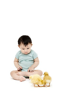 포토 JPG 스튜디오촬영 전신 동물 응시 남자 어린이라이프 두마리 오리 실내 한명 누끼 사람 앉기 동양인 앞모습 한국인 아기 호기심 소통 반려 남자만 남자한명만 아기만 남자아기만 남자아기한명만 국내포토 1 라이프스타일 시선 감정 어린이 뷰포인트 컨셉 2 모션 조류 인종 내부 파일형식