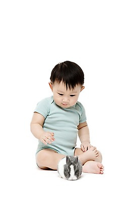 포토 JPG 스튜디오촬영 전신 동물 한마리 응시 남자 어린이라이프 실내 한명 누끼 사람 앉기 동양인 앞모습 반려동물 한국인 아기 토끼 호기심 소통 반려 남자만 남자한명만 아기만 남자아기만 남자아기한명만 국내포토 1 라이프스타일 시선 감정 어린이 뷰포인트 컨셉 포유류 모션 인종 내부 파일형식