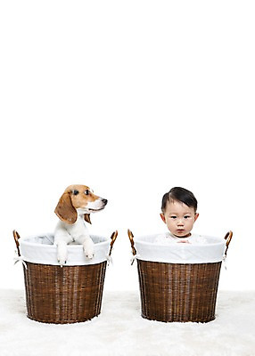 포토 JPG 스튜디오촬영 동물 한마리 남자 어린이라이프 반려견 놀이 실내 한명 누끼 사람 앉기 동양인 상반신 앞모습 반려동물 바구니 카펫 한국인 매트 아기 개 강아지 비글 소통 반려 남자만 남자한명만 아기만 남자아기만 남자아기한명만 국내포토 1 라이프스타일 어린이 뷰포인트 컨셉 포유류 모션 인종 내부 파일형식