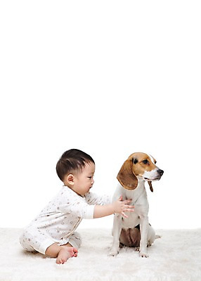 포토 JPG 스튜디오촬영 전신 동물 한마리 남자 어린이라이프 반려견 안기 실내 한명 누끼 사람 앉기 동양인 옆모습 반려동물 카펫 한국인 매트 아기 개 강아지 비글 소통 반려 남자만 남자한명만 아기만 남자아기만 남자아기한명만 국내포토 1 라이프스타일 어린이 뷰포인트 컨셉 포유류 모션 인종 내부 파일형식