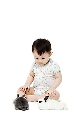 포토 JPG 스튜디오촬영 전신 동물 응시 남자 어린이라이프 두마리 실내 한명 누끼 사람 앉기 동양인 앞모습 반려동물 한국인 아기 토끼 호기심 소통 반려 남자만 남자한명만 아기만 남자아기만 남자아기한명만 국내포토 1 라이프스타일 시선 감정 어린이 뷰포인트 컨셉 2 포유류 모션 인종 내부 파일형식