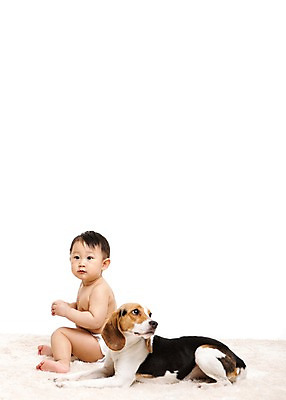 포토 JPG 스튜디오촬영 전신 동물 한마리 응시 남자 어린이라이프 반려견 실내 한명 누끼 사람 앉기 동양인 옆모습 반려동물 카펫 한국인 매트 아기 개 강아지 기저귀 비글 소통 반려 남자만 남자한명만 아기만 남자아기만 남자아기한명만 국내포토 1 라이프스타일 시선 어린이 뷰포인트 컨셉 포유류 모션 인종 내부 아기용품 파일형식
