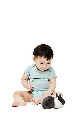 포토 JPG 스튜디오촬영 전신 동물 한마리 응시 남자 어린이라이프 실내 한명 누끼 사람 앉기 동양인 앞모습 반려동물 한국인 아기 토끼 호기심 소통 반려 남자만 남자한명만 아기만 남자아기만 남자아기한명만 국내포토 1 라이프스타일 시선 감정 어린이 뷰포인트 컨셉 포유류 모션 인종 내부 파일형식