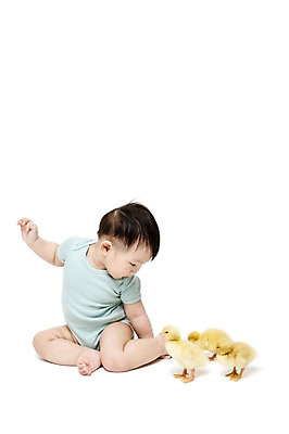 포토 JPG 스튜디오촬영 전신 동물 응시 남자 어린이라이프 오리 실내 세마리 한명 누끼 사람 앉기 동양인 앞모습 한국인 아기 호기심 소통 반려 남자만 남자한명만 아기만 남자아기만 남자아기한명만 국내포토 1 라이프스타일 시선 감정 어린이 뷰포인트 컨셉 모션 조류 3 인종 내부 파일형식