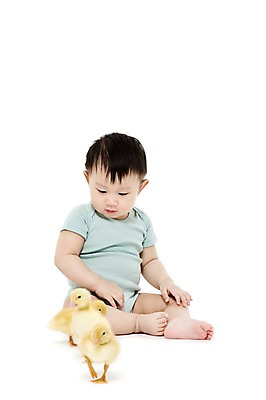 포토 JPG 스튜디오촬영 전신 동물 응시 남자 어린이라이프 오리 실내 세마리 한명 누끼 사람 앉기 동양인 앞모습 한국인 아기 호기심 소통 반려 남자만 남자한명만 아기만 남자아기만 남자아기한명만 국내포토 1 라이프스타일 시선 감정 어린이 뷰포인트 컨셉 모션 조류 3 인종 내부 파일형식