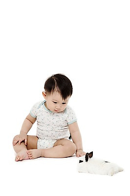 포토 JPG 스튜디오촬영 전신 동물 한마리 응시 남자 어린이라이프 실내 한명 누끼 사람 앉기 동양인 앞모습 반려동물 한국인 아기 토끼 호기심 소통 반려 남자만 남자한명만 아기만 남자아기만 남자아기한명만 국내포토 1 라이프스타일 시선 감정 어린이 뷰포인트 컨셉 포유류 모션 인종 내부 파일형식