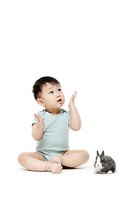 포토 JPG 스튜디오촬영 전신 동물 한마리 응시 남자 어린이라이프 실내 한명 누끼 사람 앉기 동양인 앞모습 반려동물 한국인 올려보기 아기 토끼 소통 반려 남자만 남자한명만 아기만 남자아기만 남자아기한명만 국내포토 1 라이프스타일 시선 어린이 뷰포인트 컨셉 포유류 모션 인종 내부 파일형식