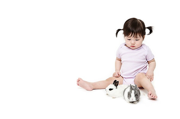 포토 JPG 스튜디오촬영 전신 동물 응시 여자 어린이라이프 두마리 실내 한명 누끼 사람 앉기 동양인 앞모습 반려동물 한국인 아기 토끼 호기심 소통 반려 여자만 여자한명만 아기만 여자아기만 여자아기한명만 국내포토 1 라이프스타일 시선 감정 어린이 뷰포인트 컨셉 2 포유류 모션 인종 내부 파일형식