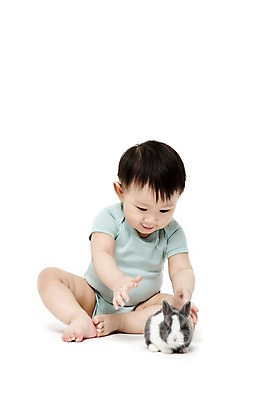 포토 JPG 스튜디오촬영 전신 동물 한마리 남자 어린이라이프 실내 한명 누끼 사람 앉기 동양인 앞모습 반려동물 한국인 아기 토끼 잡기 호기심 소통 반려 남자만 남자한명만 아기만 남자아기만 남자아기한명만 국내포토 1 라이프스타일 감정 어린이 뷰포인트 컨셉 포유류 모션 인종 내부 파일형식