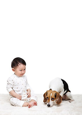 포토 JPG 스튜디오촬영 전신 동물 한마리 남자 어린이라이프 반려견 실내 한명 누끼 사람 앉기 동양인 앞모습 반려동물 카펫 한국인 매트 아기 개 강아지 비글 소통 반려 남자만 남자한명만 아기만 남자아기만 남자아기한명만 국내포토 1 라이프스타일 어린이 뷰포인트 컨셉 포유류 모션 인종 내부 파일형식