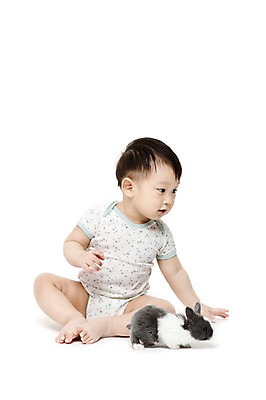 포토 JPG 스튜디오촬영 전신 동물 한마리 응시 남자 어린이라이프 실내 한명 누끼 사람 앉기 동양인 앞모습 반려동물 한국인 아기 토끼 소통 반려 남자만 남자한명만 아기만 남자아기만 남자아기한명만 국내포토 1 라이프스타일 시선 어린이 뷰포인트 컨셉 포유류 모션 인종 내부 파일형식